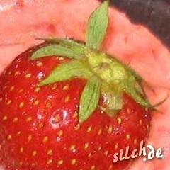 Erdbeer-Zilch (Foto: tierrechtskochbuch.de)